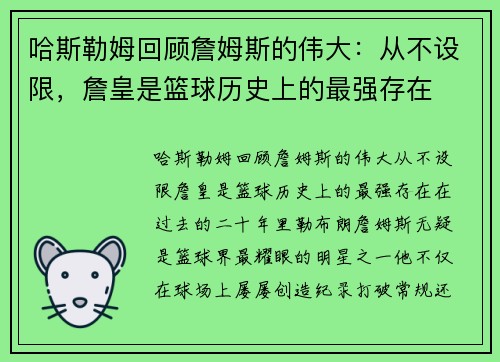 哈斯勒姆回顾詹姆斯的伟大：从不设限，詹皇是篮球历史上的最强存在