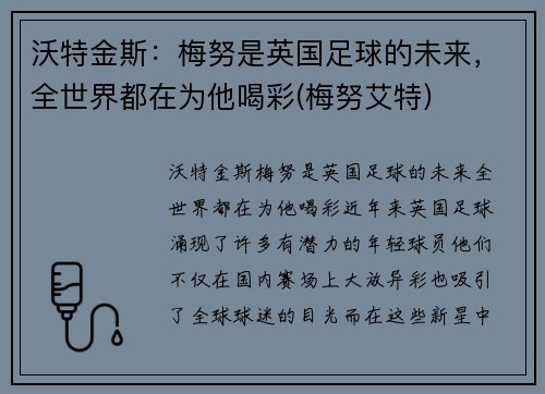 沃特金斯：梅努是英国足球的未来，全世界都在为他喝彩(梅努艾特)